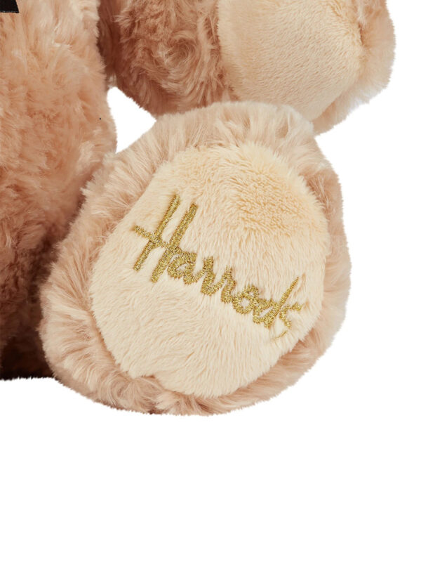 HDDB2510003_2 Harrods 蝴蝶結緞帶雅各畢業泰迪熊絨毛娃娃