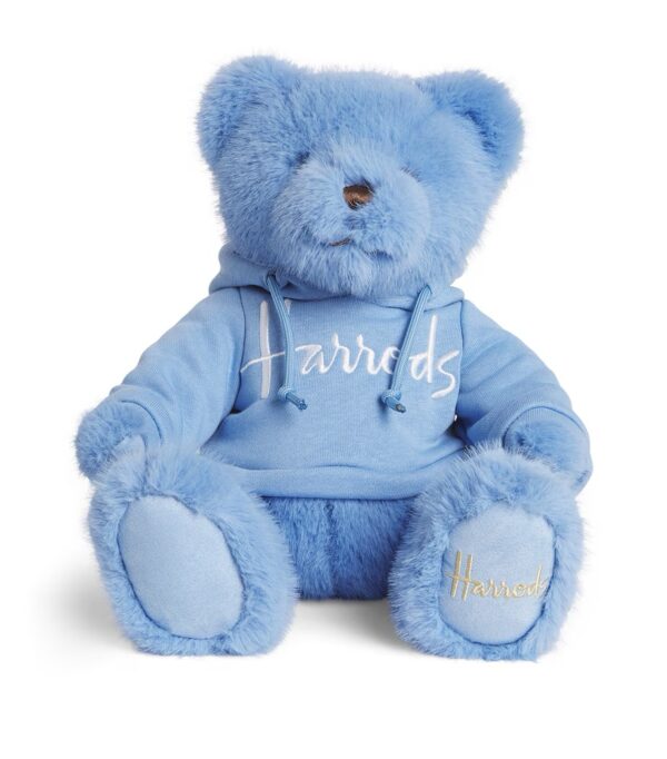 Harrods 時尚繽紛電鏽連帽T亨利泰迪熊娃娃