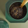 Harrods 愛意慶典茶散裝紅茶茶葉特寫 - 融合斯里蘭卡紅茶與薄荷清香