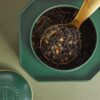 HARRODS-With-Love-from-Harrods-Loose-Leaf-Tea-125g_2-mc Harrods 愛意慶典茶葉罐側面與內容物特寫,展示薄荷紅茶散裝茶葉質地