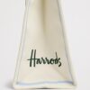 HDBA2632001-00_3-mc Harrods 城市故事帆布袋帆布印花細節特寫,呈現特拉法加廣場獅像與聖保羅大教堂圖案