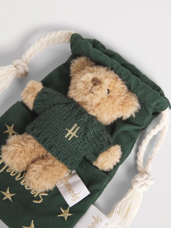 Harrods Bear in a Pouch 泰迪熊置於星星圖案小袋旁側面細節,展示針織毛衣與絨毛質感