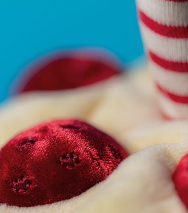 JCDB2630003-82_6 JELLYCAT Amuseables 生日蛋糕玩偶包裝盒標籤特寫,顯示品牌與型號資訊