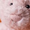JCDB2630007-12_9 JELLYCAT Leola Bear 作為禮物擺設情境,適合滿月禮與嬰兒房裝飾