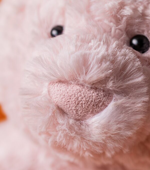 JCDB2630007-12_9 JELLYCAT Leola Bear 作為禮物擺設情境,適合滿月禮與嬰兒房裝飾