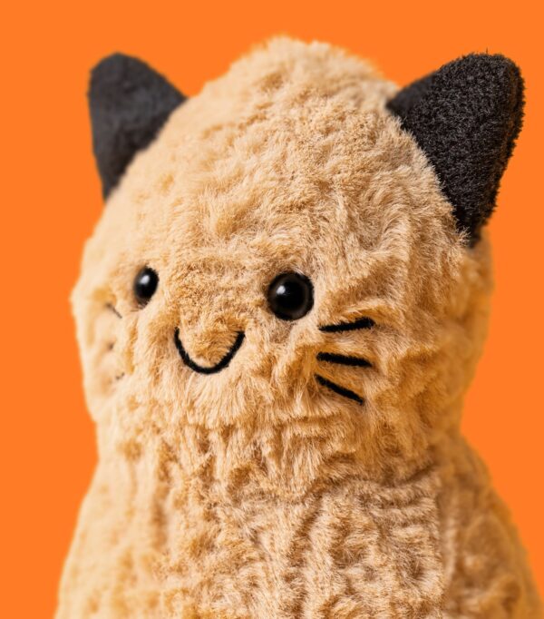 JCDB2630030-81_4 JELLYCAT 花生貓咪萬聖節限定款背面,呈現整體造型與尺寸比例(高約15cm)