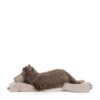 JCDB2630052-85_7 JELLYCAT Ulrich Wolf 19cm 尺寸對比展示,搭配品牌標籤特寫